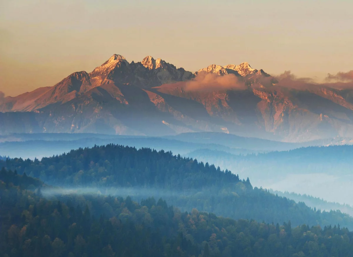 Śmiali Się Gdy Powiedziałem, że Chcę kupić para cord. Ale Gdy Zobaczyli Jak ...
