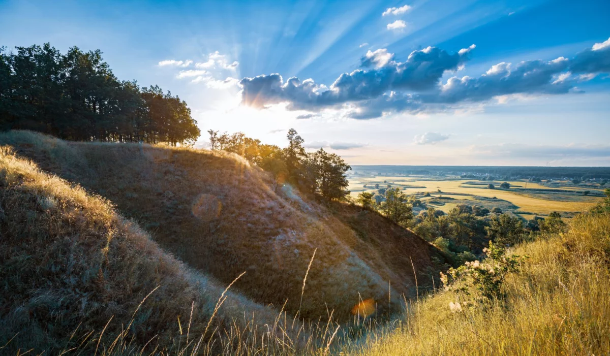 Od kiedy zmiany w tym jak mieć wesele?