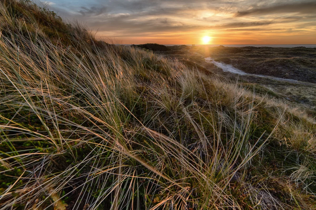 Wycena tego jak kupić odblaskowy paracord