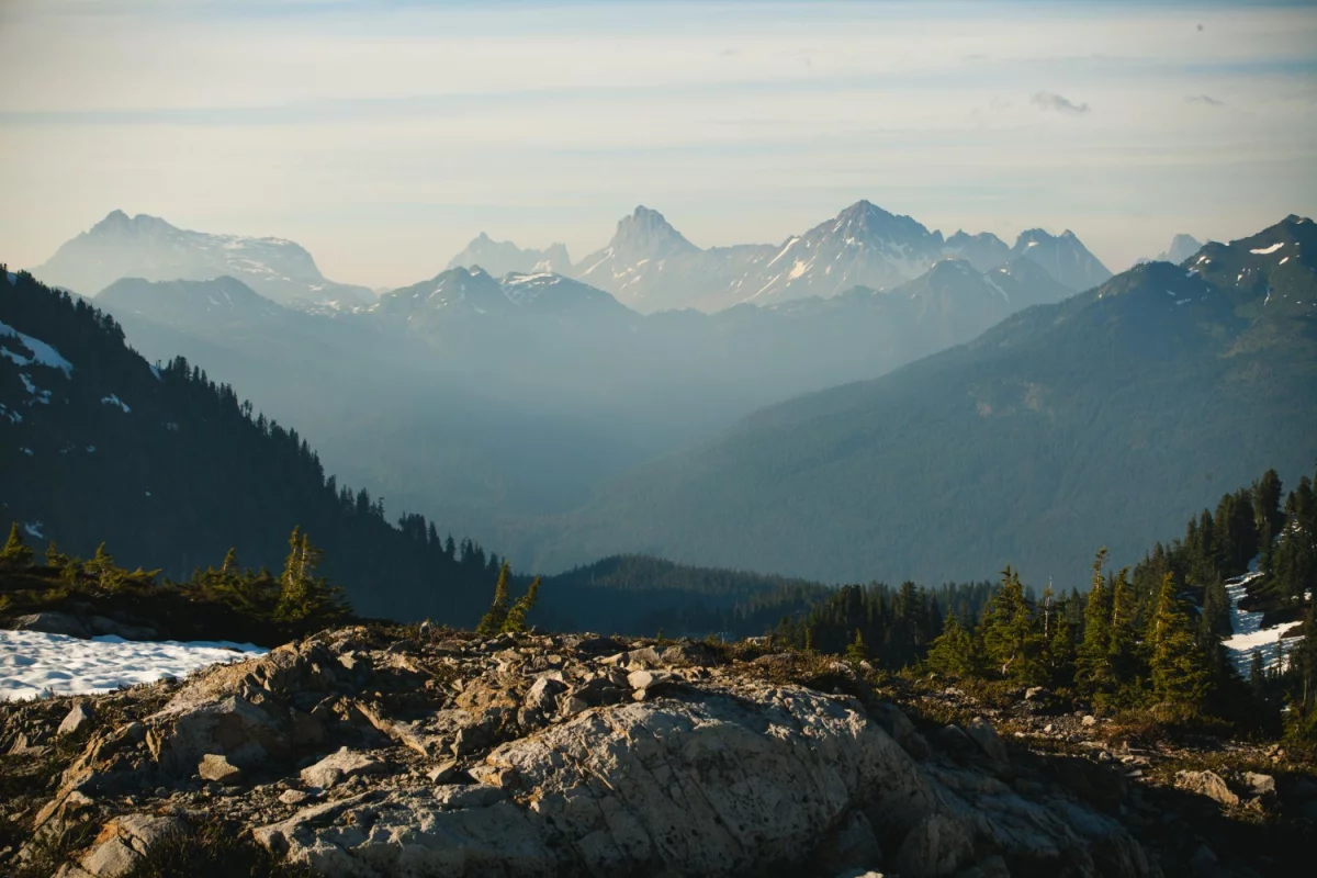 Czy można kupić para cord w dzień?