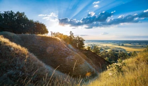 Czy w 2024 jeszcze warto  reklamować?