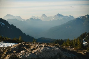 Nowy wątek jak zrobić licówki?